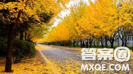 守住初心主題作文600字 關于守住初心的主題作文600字
