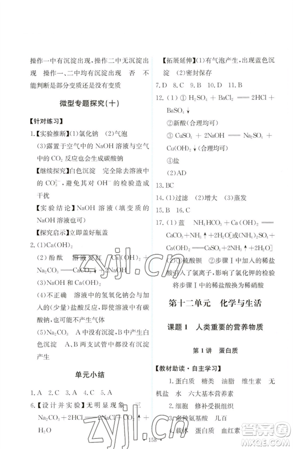 人民教育出版社2023能力培養(yǎng)與測試九年級(jí)化學(xué)下冊(cè)人教版參考答案
