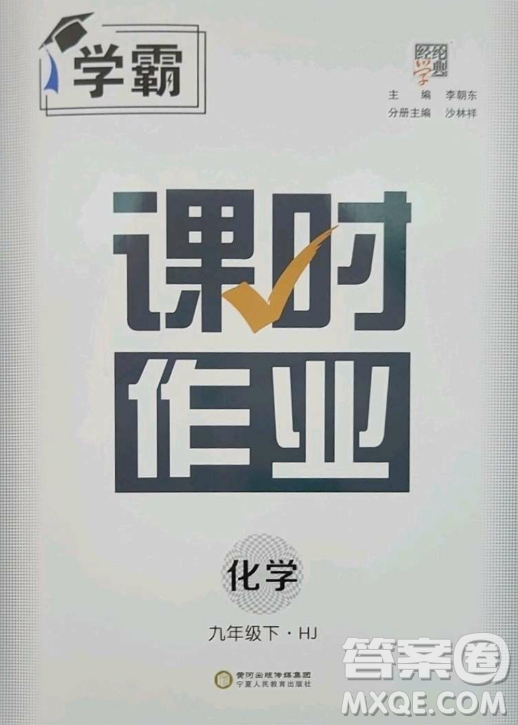 寧夏人民教育出版社2023經(jīng)綸學典課時作業(yè)九年級下冊化學滬教版答案