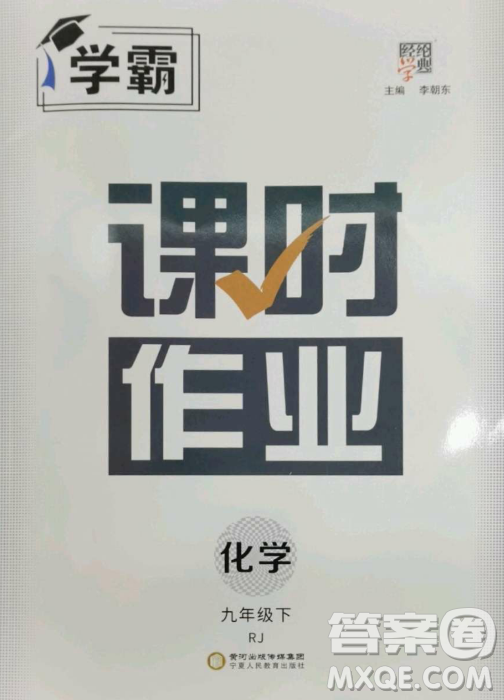 寧夏人民教育出版社2023經(jīng)綸學典課時作業(yè)九年級下冊化學人教版答案