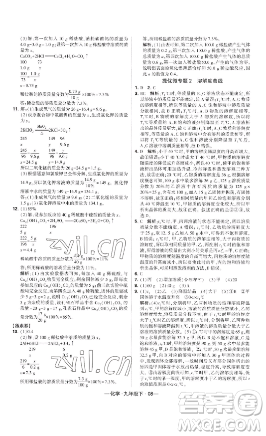 寧夏人民教育出版社2023經(jīng)綸學典課時作業(yè)九年級下冊化學人教版答案