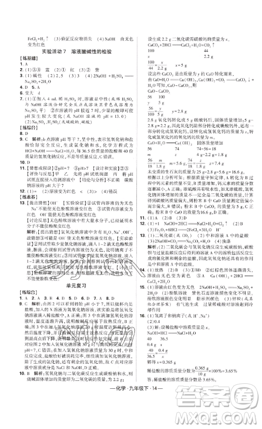 寧夏人民教育出版社2023經(jīng)綸學典課時作業(yè)九年級下冊化學人教版答案
