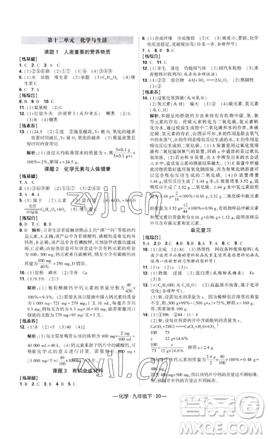 寧夏人民教育出版社2023經(jīng)綸學典課時作業(yè)九年級下冊化學人教版答案