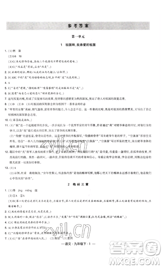 寧夏人民教育出版社2023經(jīng)綸學(xué)典課時作業(yè)九年級下冊語文人教版答案