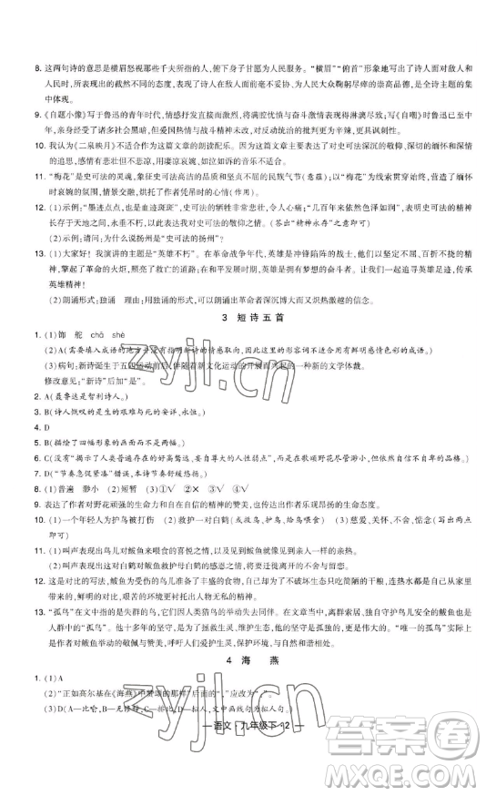 寧夏人民教育出版社2023經(jīng)綸學(xué)典課時作業(yè)九年級下冊語文人教版答案