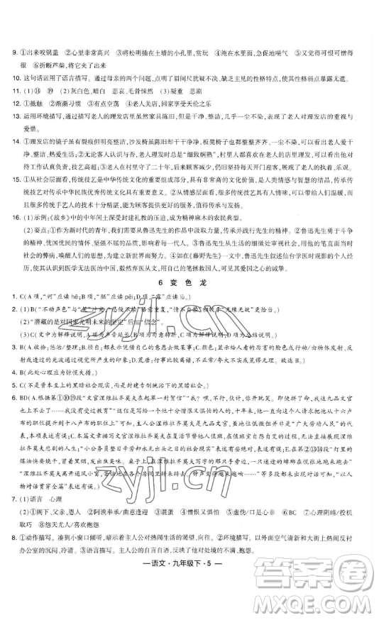 寧夏人民教育出版社2023經(jīng)綸學(xué)典課時作業(yè)九年級下冊語文人教版答案