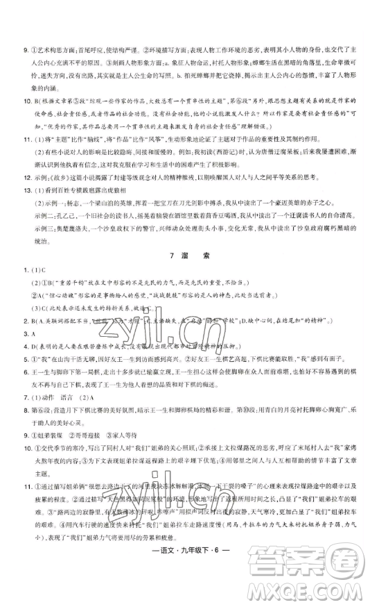 寧夏人民教育出版社2023經(jīng)綸學(xué)典課時作業(yè)九年級下冊語文人教版答案