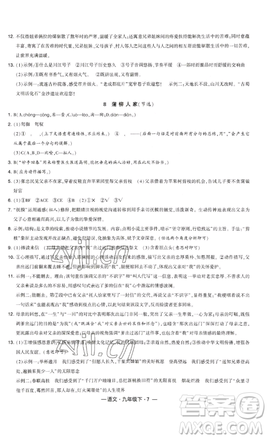 寧夏人民教育出版社2023經(jīng)綸學(xué)典課時作業(yè)九年級下冊語文人教版答案