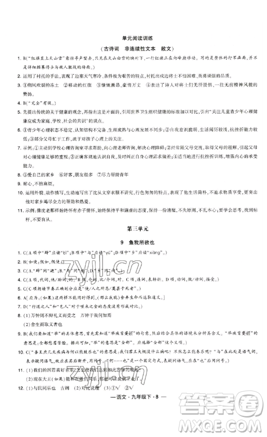 寧夏人民教育出版社2023經(jīng)綸學(xué)典課時作業(yè)九年級下冊語文人教版答案