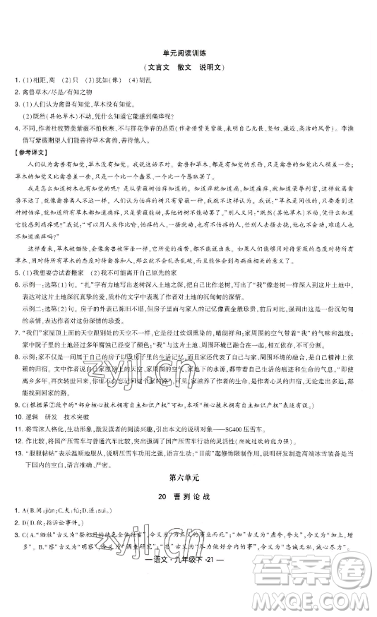 寧夏人民教育出版社2023經(jīng)綸學(xué)典課時作業(yè)九年級下冊語文人教版答案