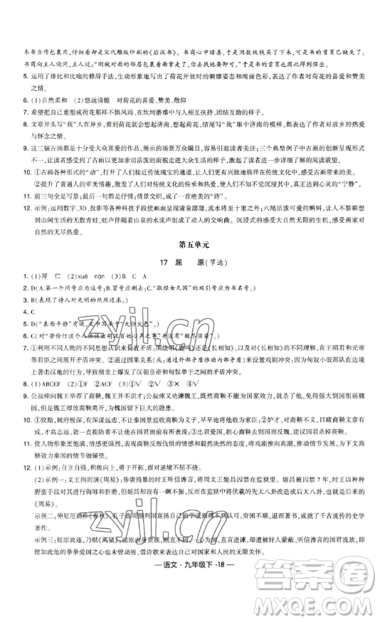 寧夏人民教育出版社2023經(jīng)綸學(xué)典課時作業(yè)九年級下冊語文人教版答案