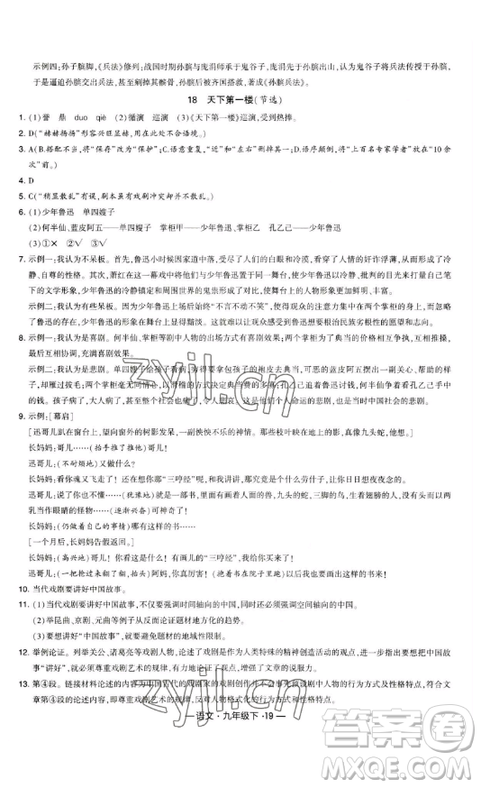 寧夏人民教育出版社2023經(jīng)綸學(xué)典課時作業(yè)九年級下冊語文人教版答案