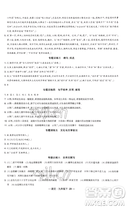 寧夏人民教育出版社2023經(jīng)綸學(xué)典課時作業(yè)九年級下冊語文人教版答案