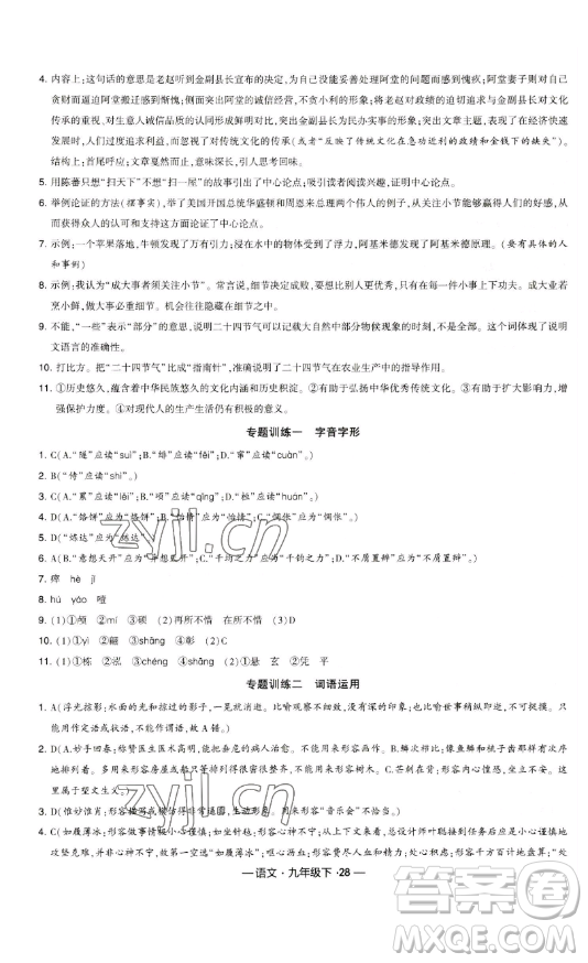 寧夏人民教育出版社2023經(jīng)綸學(xué)典課時作業(yè)九年級下冊語文人教版答案
