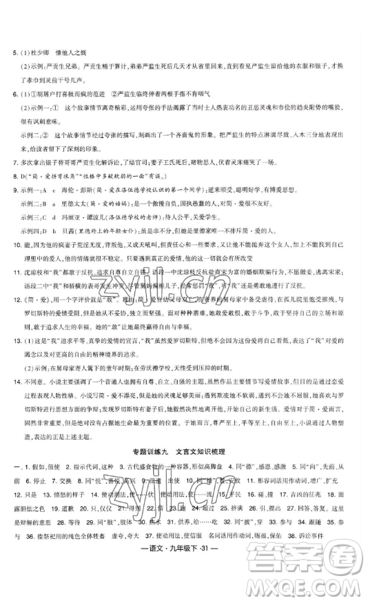 寧夏人民教育出版社2023經(jīng)綸學(xué)典課時作業(yè)九年級下冊語文人教版答案