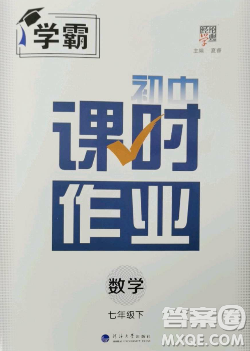 河海大學(xué)出版社2023經(jīng)綸學(xué)典課時(shí)作業(yè)七年級(jí)下冊(cè)數(shù)學(xué)人教版答案