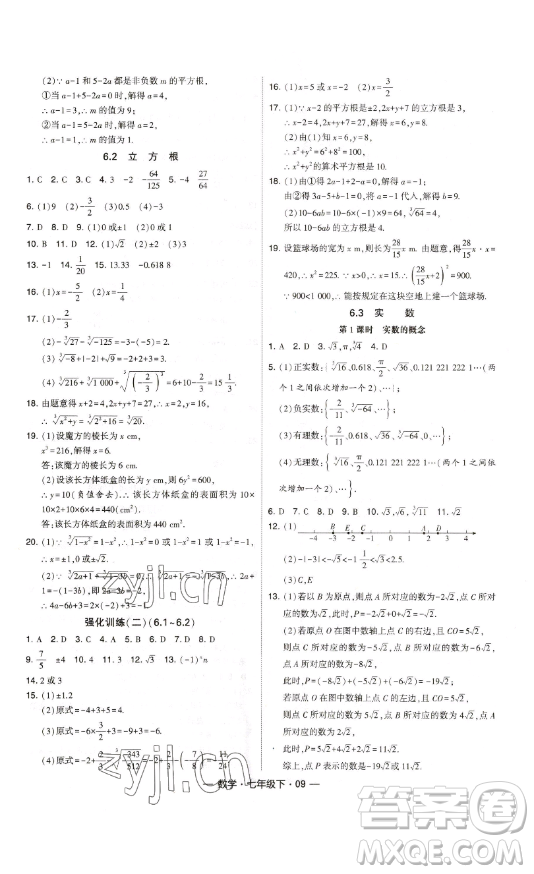 河海大學(xué)出版社2023經(jīng)綸學(xué)典課時(shí)作業(yè)七年級(jí)下冊(cè)數(shù)學(xué)人教版答案