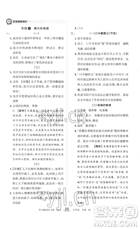 江西人民出版社2023王朝霞考點(diǎn)梳理時(shí)習(xí)卷五年級(jí)下冊(cè)語(yǔ)文人教版答案
