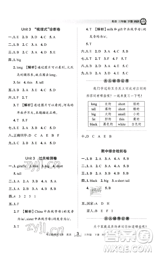 江西人民出版社2023王朝霞考點(diǎn)梳理時(shí)習(xí)卷三年級(jí)下冊(cè)英語人教PEP版答案