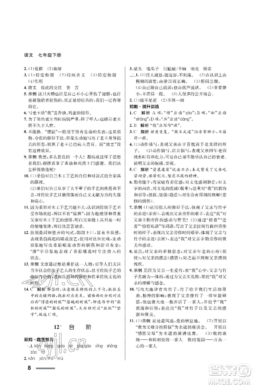 甘肅少年兒童出版社2023語(yǔ)文配套綜合練習(xí)七年級(jí)下冊(cè)人教版參考答案