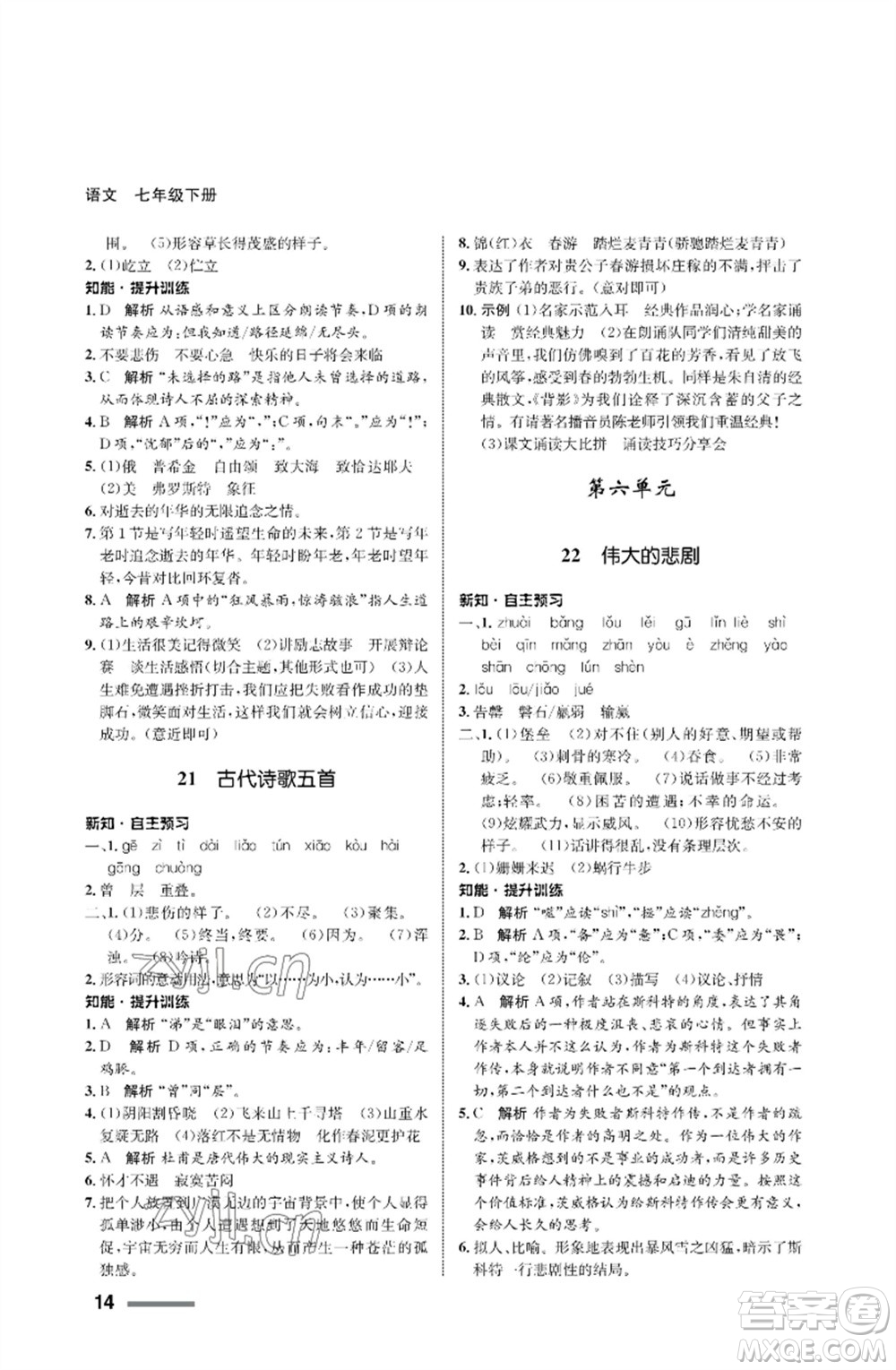 甘肅少年兒童出版社2023語(yǔ)文配套綜合練習(xí)七年級(jí)下冊(cè)人教版參考答案