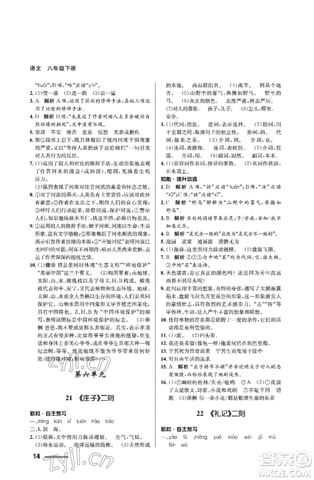 甘肅教育出版社2023語(yǔ)文配套綜合練習(xí)八年級(jí)下冊(cè)人教版參考答案