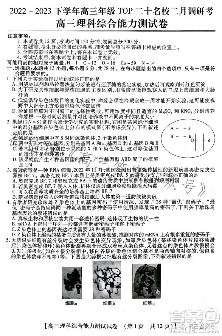 河南省2022-2023下學(xué)年高三年級(jí)TOP二十名校二月調(diào)研考理科綜合試卷答案
