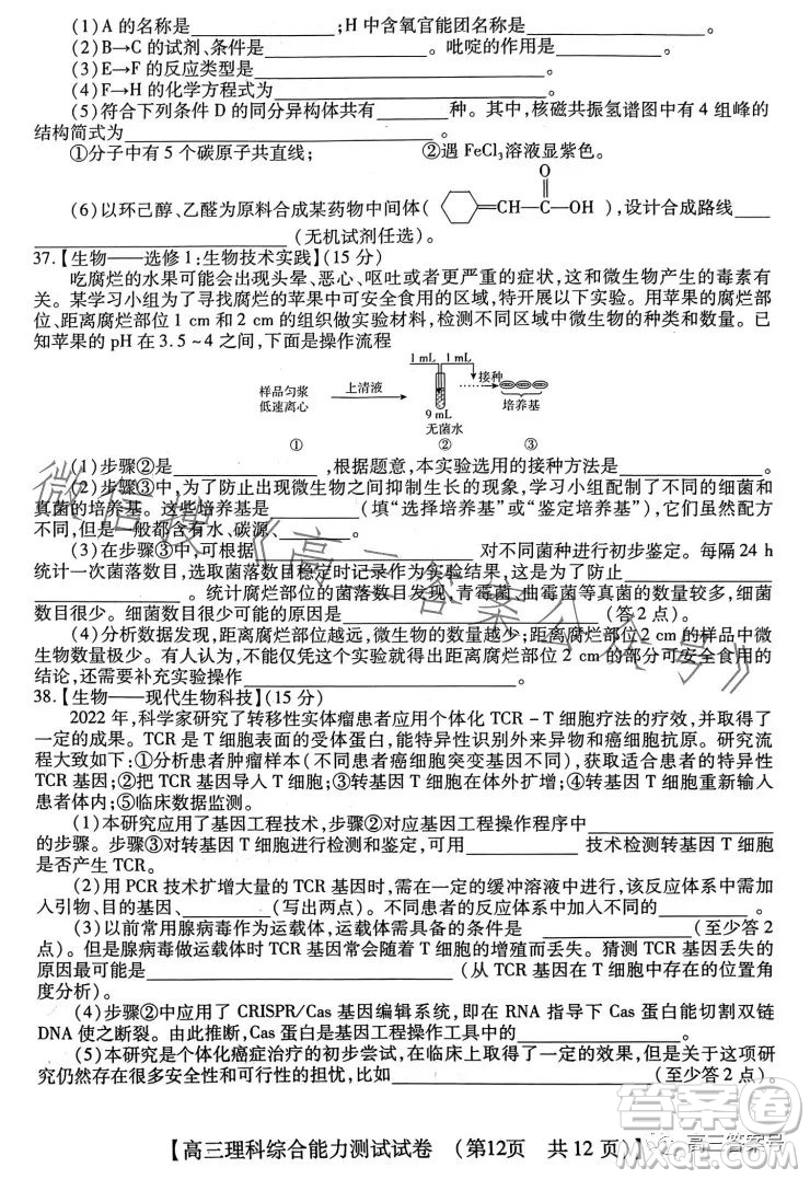 河南省2022-2023下學(xué)年高三年級(jí)TOP二十名校二月調(diào)研考理科綜合試卷答案