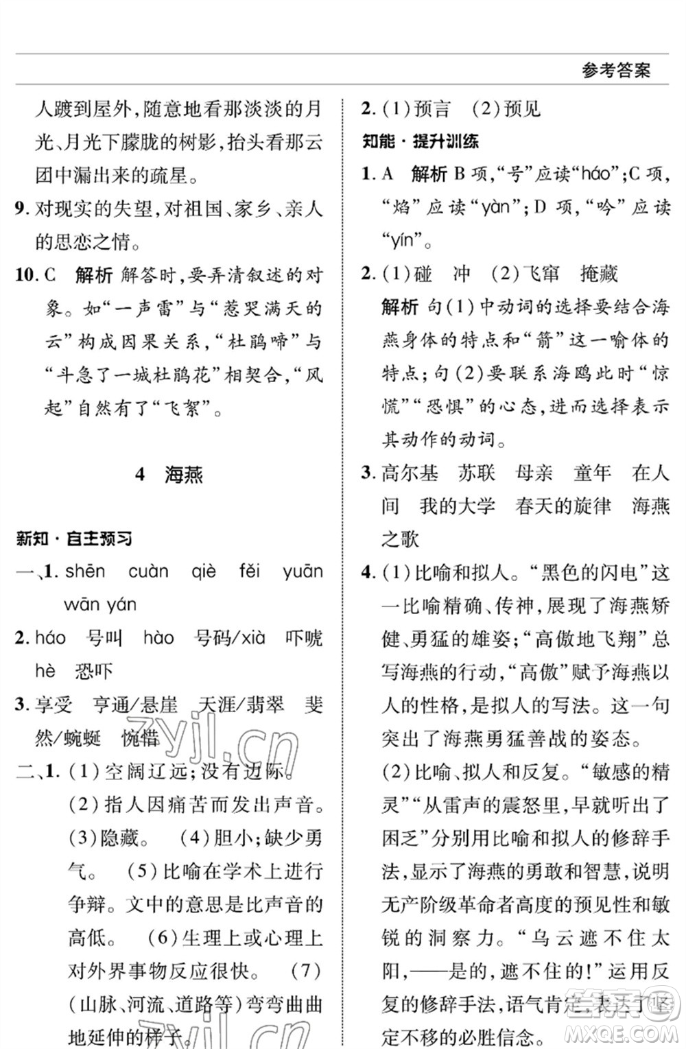 北京師范大學(xué)出版社2023語文配套綜合練習(xí)九年級(jí)下冊人教版參考答案