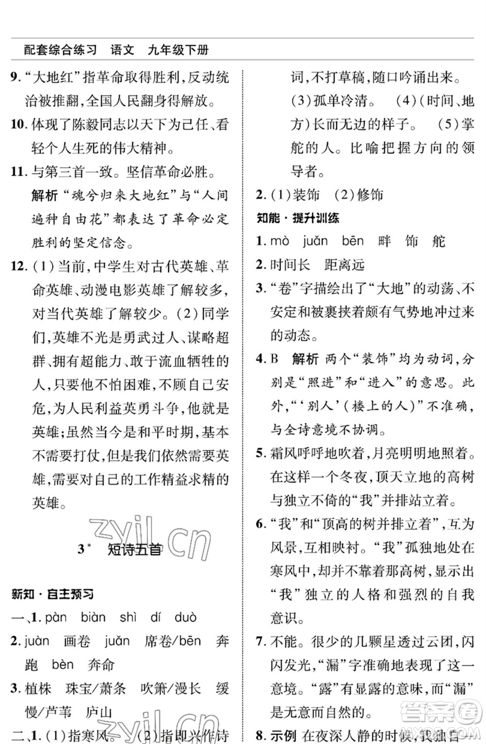 北京師范大學(xué)出版社2023語文配套綜合練習(xí)九年級(jí)下冊人教版參考答案