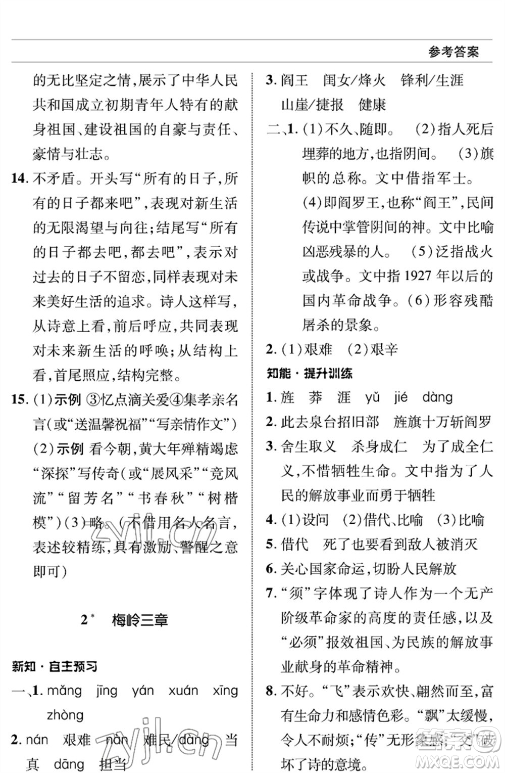 北京師范大學(xué)出版社2023語文配套綜合練習(xí)九年級(jí)下冊人教版參考答案