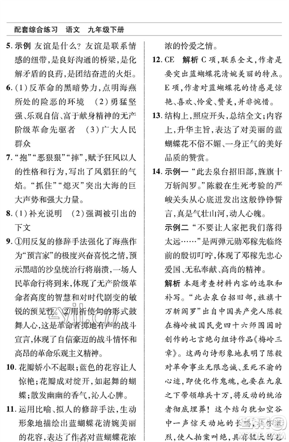 北京師范大學(xué)出版社2023語文配套綜合練習(xí)九年級(jí)下冊人教版參考答案