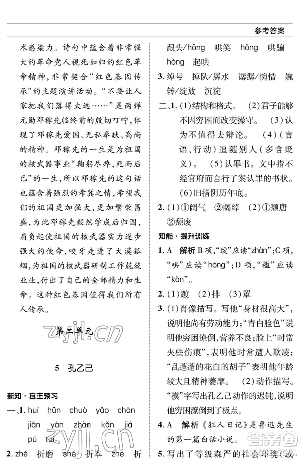 北京師范大學(xué)出版社2023語文配套綜合練習(xí)九年級(jí)下冊人教版參考答案