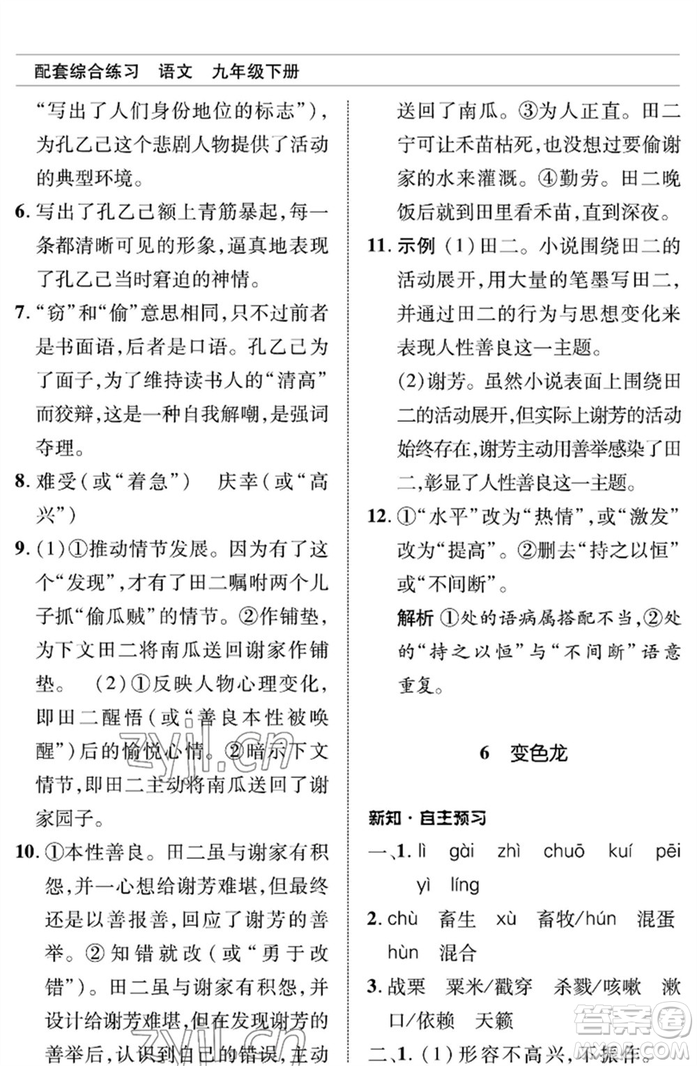 北京師范大學(xué)出版社2023語文配套綜合練習(xí)九年級(jí)下冊人教版參考答案