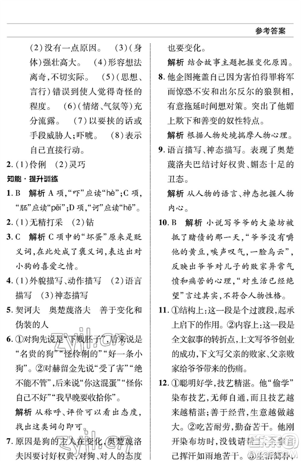北京師范大學(xué)出版社2023語文配套綜合練習(xí)九年級(jí)下冊人教版參考答案