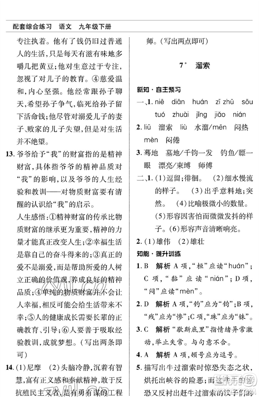 北京師范大學(xué)出版社2023語文配套綜合練習(xí)九年級(jí)下冊人教版參考答案