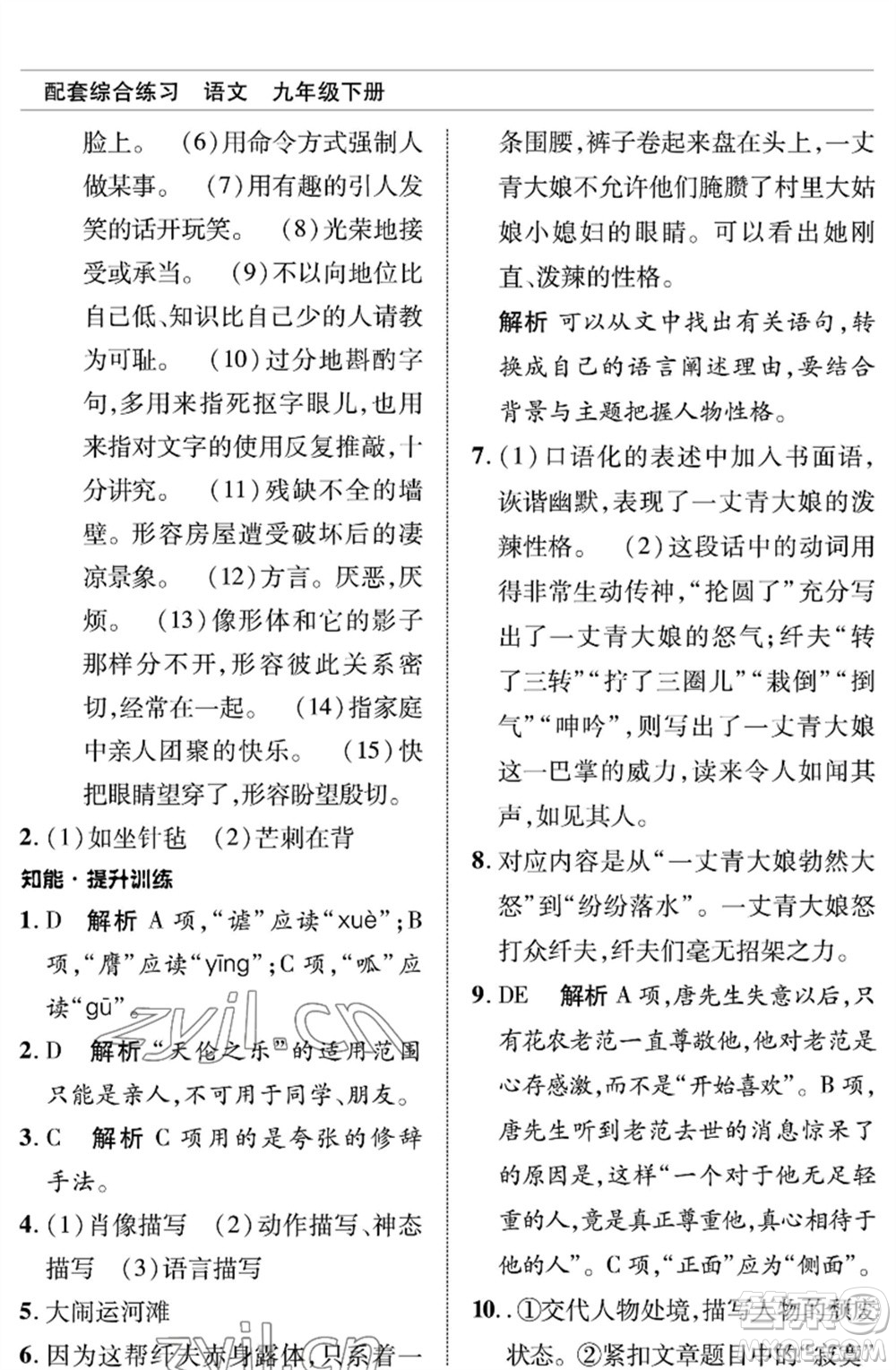 北京師范大學(xué)出版社2023語文配套綜合練習(xí)九年級(jí)下冊人教版參考答案