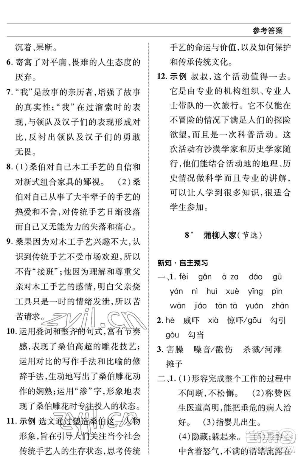 北京師范大學(xué)出版社2023語文配套綜合練習(xí)九年級(jí)下冊人教版參考答案