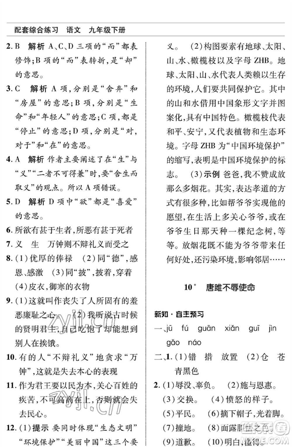 北京師范大學(xué)出版社2023語文配套綜合練習(xí)九年級(jí)下冊人教版參考答案