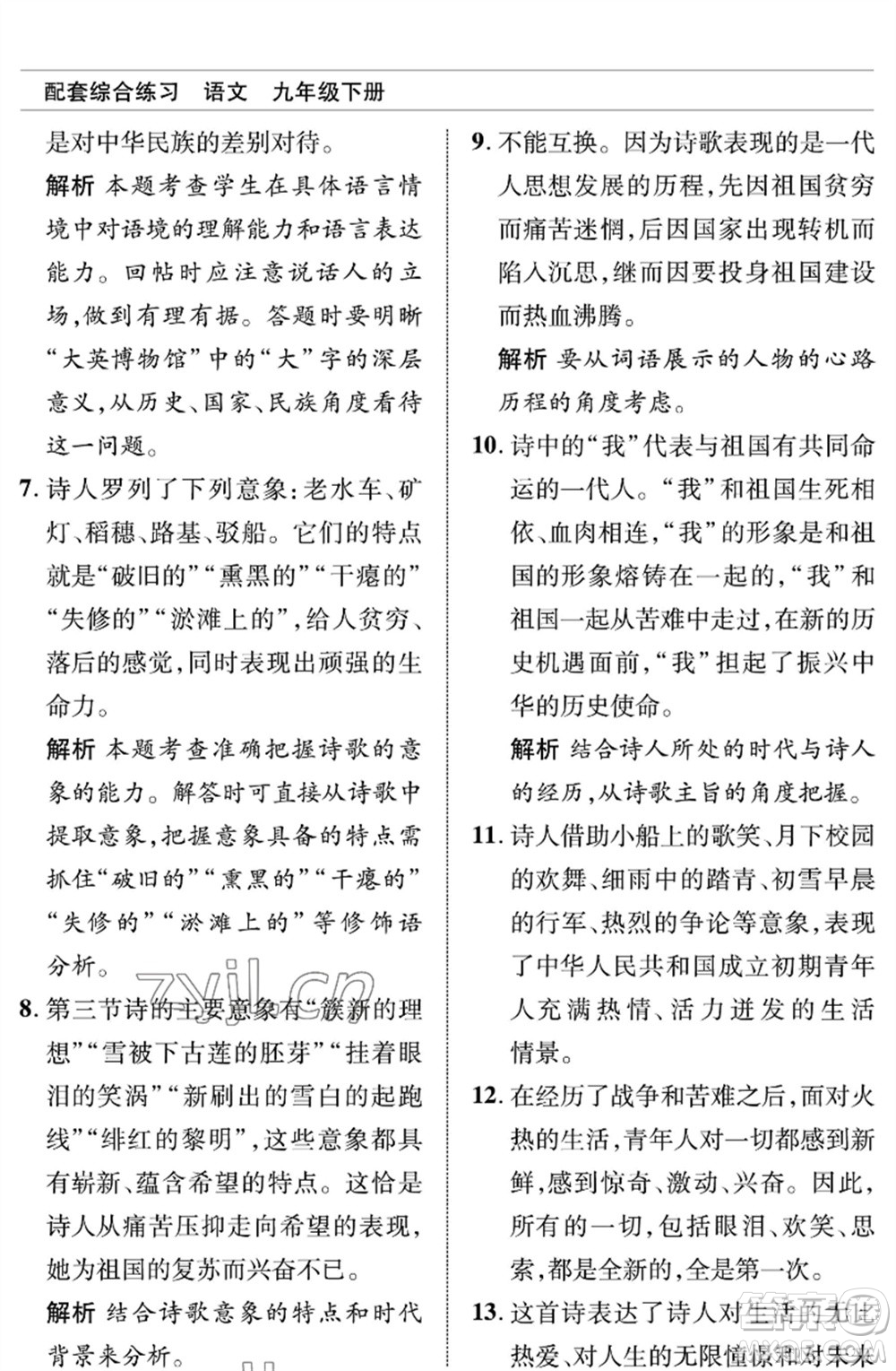 北京師范大學(xué)出版社2023語文配套綜合練習(xí)九年級(jí)下冊人教版參考答案