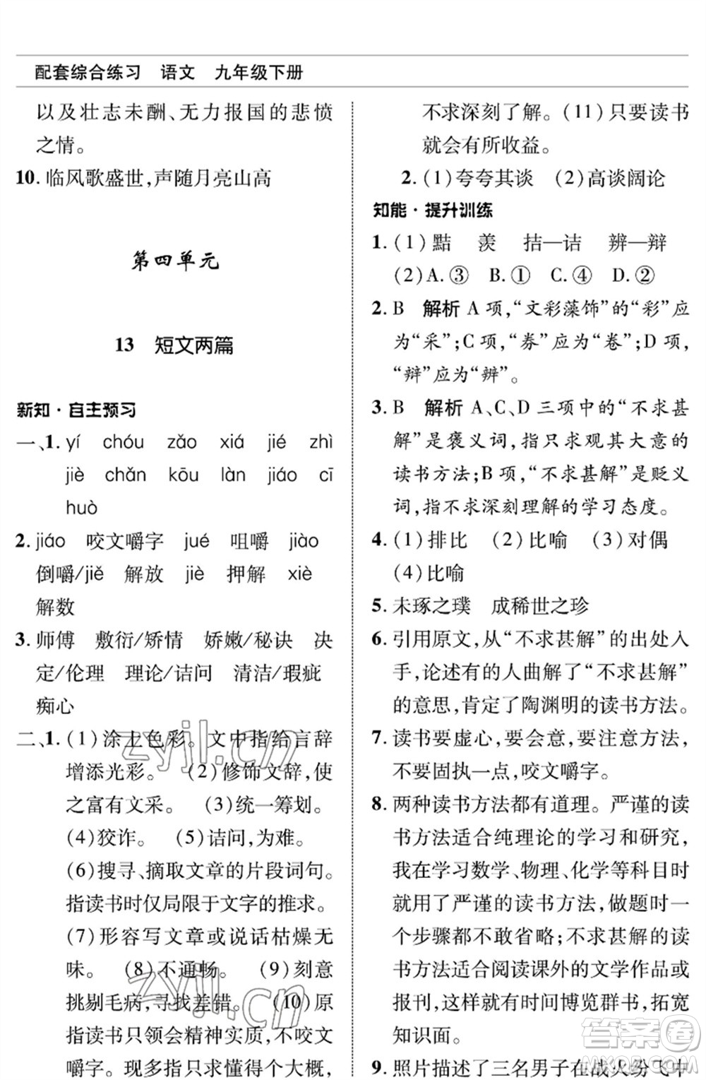 北京師范大學(xué)出版社2023語文配套綜合練習(xí)九年級(jí)下冊人教版參考答案