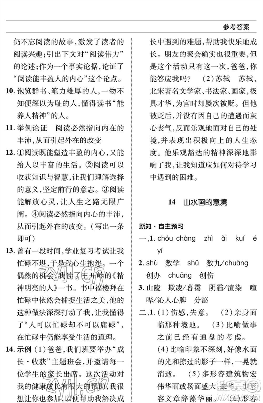 北京師范大學(xué)出版社2023語文配套綜合練習(xí)九年級(jí)下冊人教版參考答案