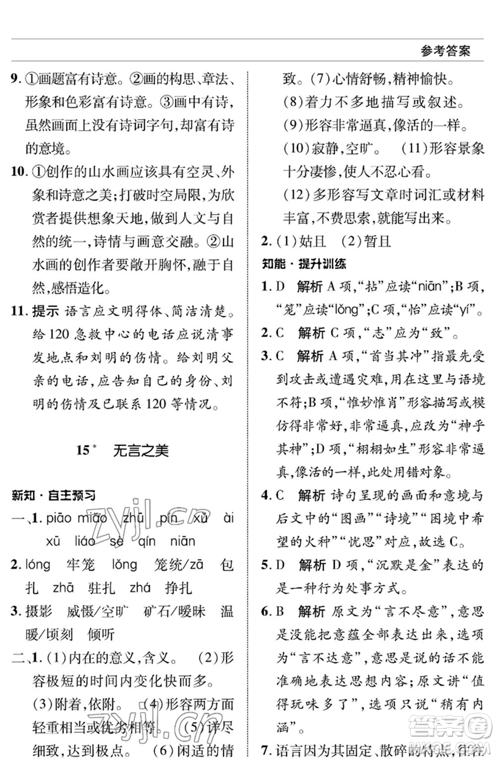 北京師范大學(xué)出版社2023語文配套綜合練習(xí)九年級(jí)下冊人教版參考答案