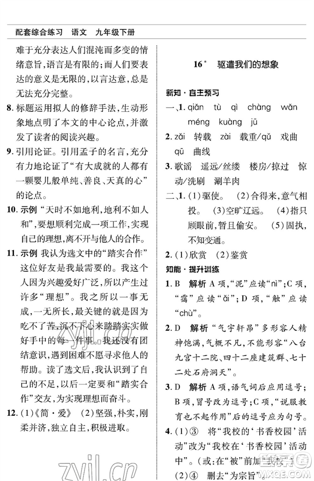 北京師范大學(xué)出版社2023語文配套綜合練習(xí)九年級(jí)下冊人教版參考答案