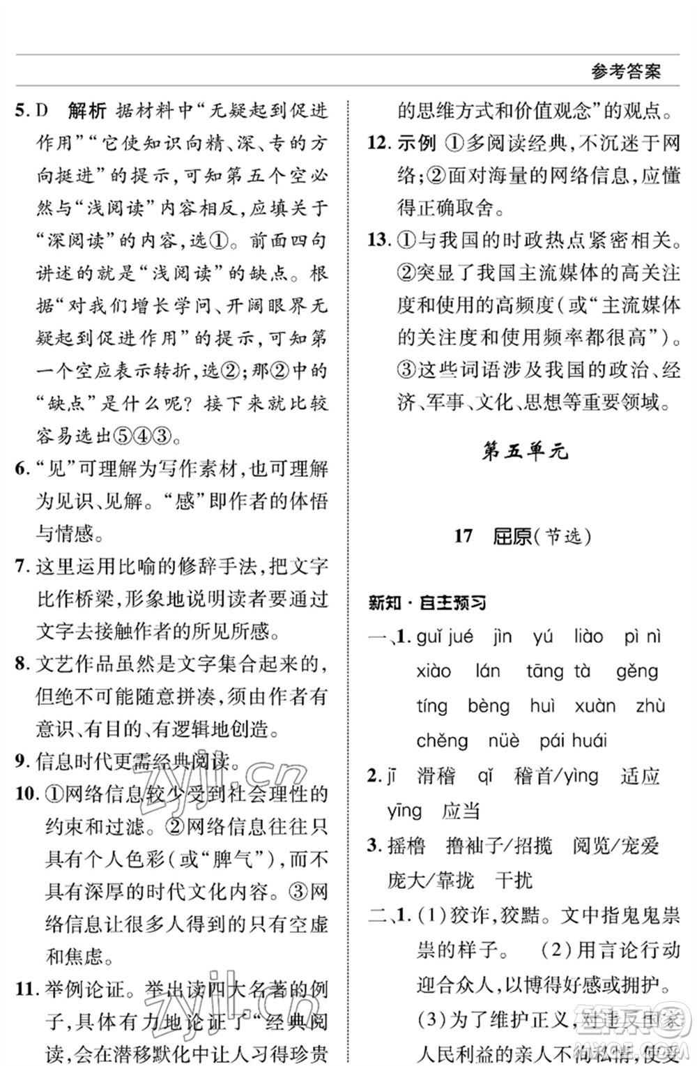 北京師范大學(xué)出版社2023語文配套綜合練習(xí)九年級(jí)下冊人教版參考答案