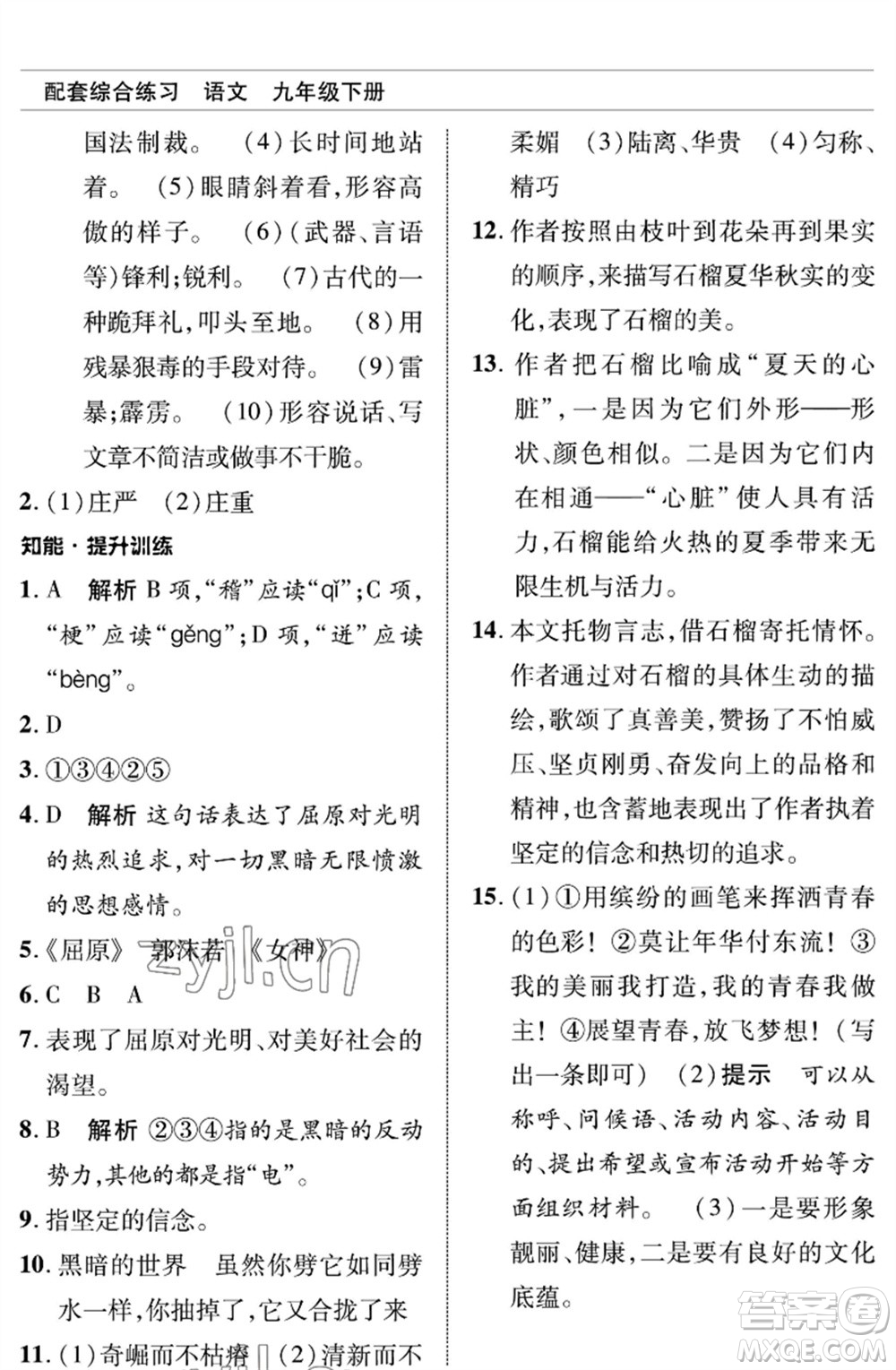 北京師范大學(xué)出版社2023語文配套綜合練習(xí)九年級(jí)下冊人教版參考答案