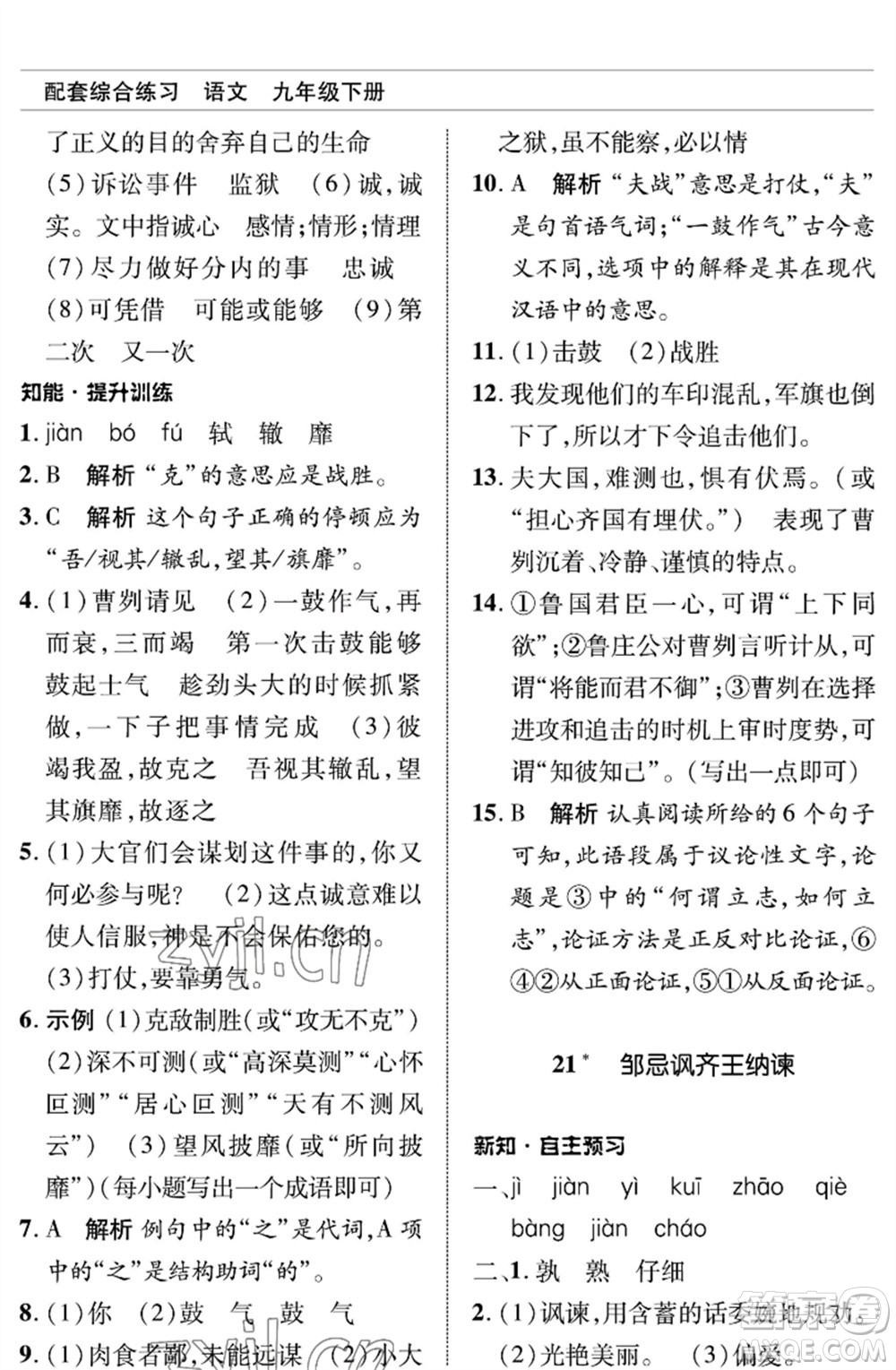 北京師范大學(xué)出版社2023語文配套綜合練習(xí)九年級(jí)下冊人教版參考答案