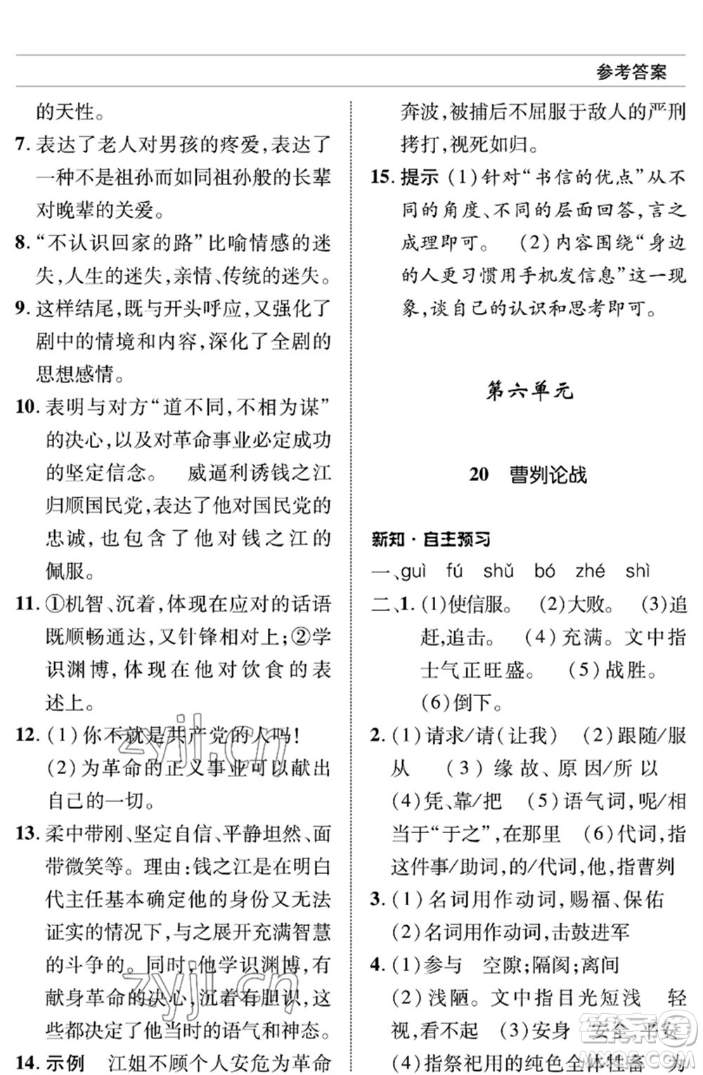 北京師范大學(xué)出版社2023語文配套綜合練習(xí)九年級(jí)下冊人教版參考答案