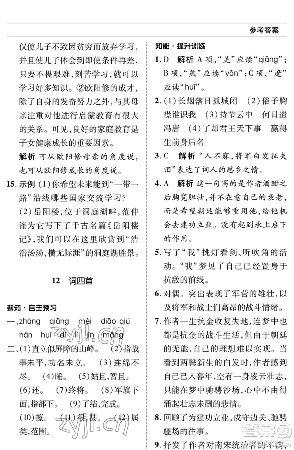 北京師范大學(xué)出版社2023語文配套綜合練習(xí)九年級(jí)下冊人教版參考答案