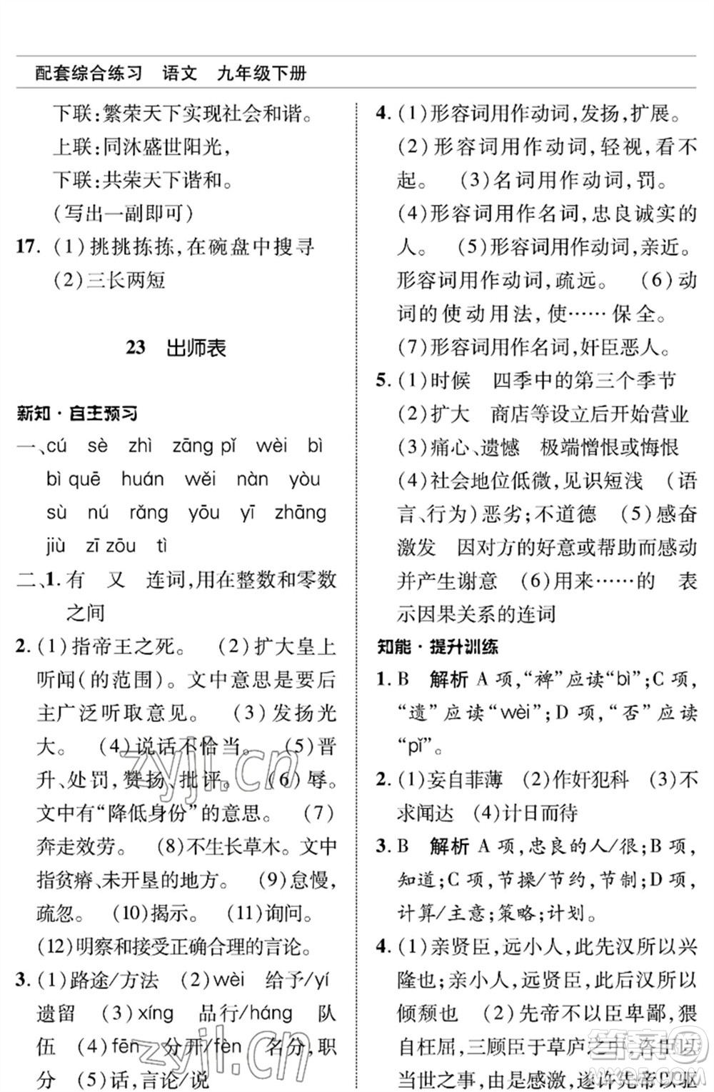 北京師范大學(xué)出版社2023語文配套綜合練習(xí)九年級(jí)下冊人教版參考答案